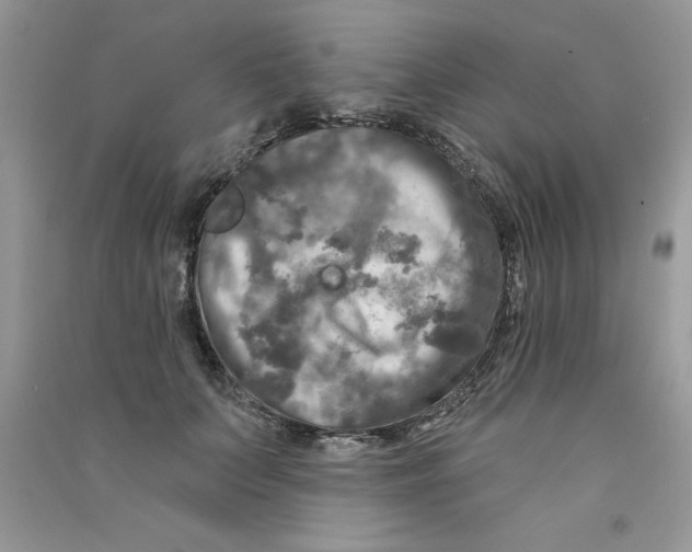 X0000090770703200708172108