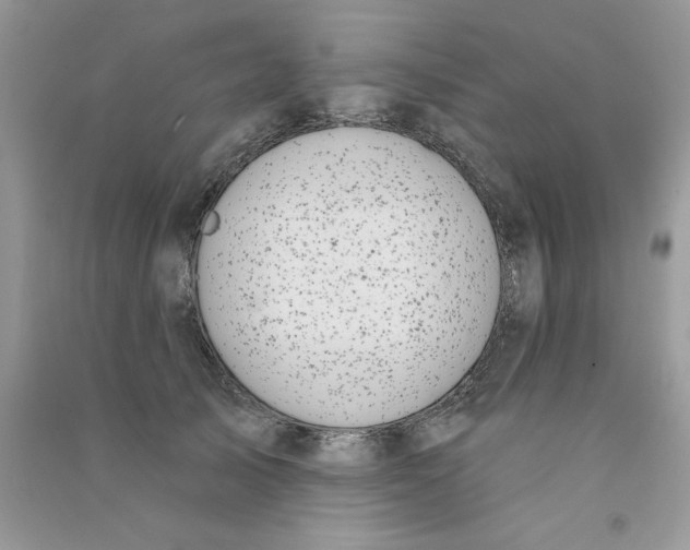 X0000090770705200708172108