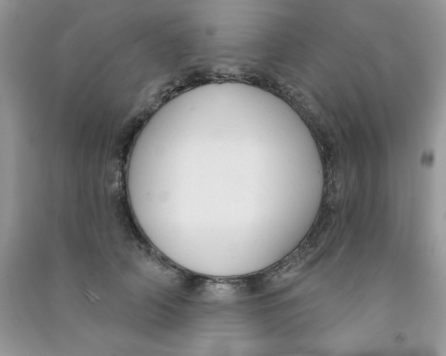 X0000090770706200708172108