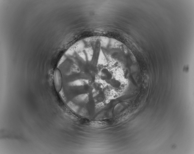 X0000090770707200708172108