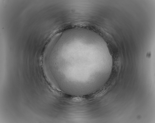 X0000090770708200708172108