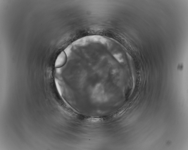 X0000090770711200708172108