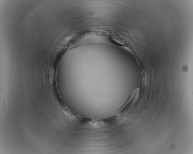X0000090770712200708172108