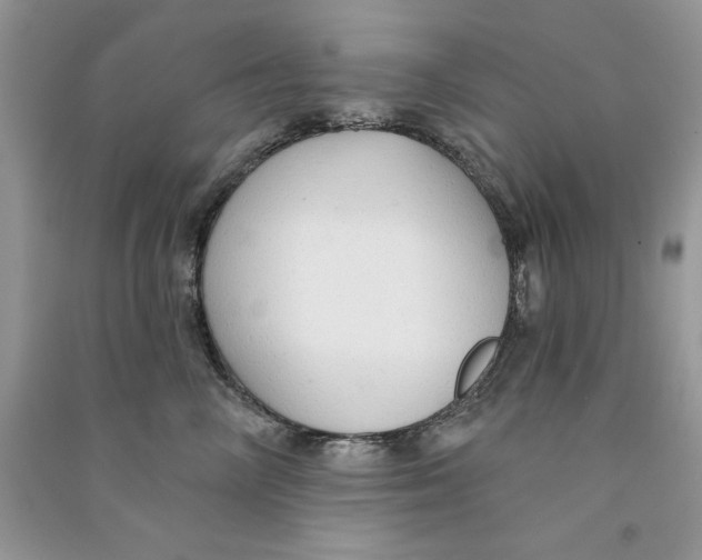 X0000090770714200708172108
