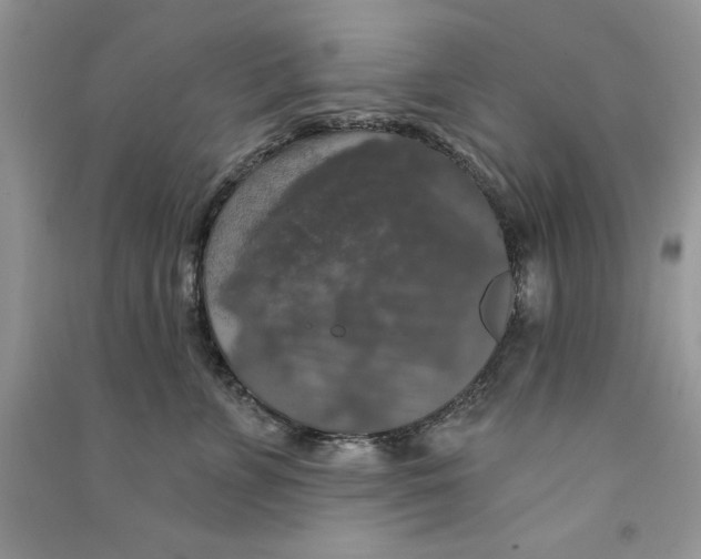 X0000090770715200708172108