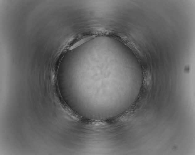 X0000090770716200708172108