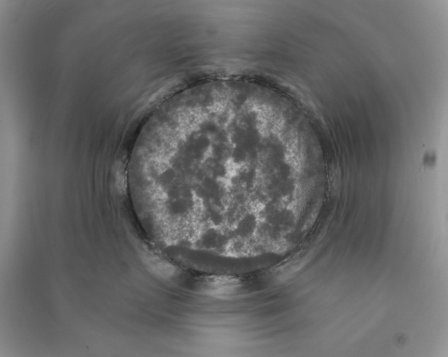 X0000090770719200708172108