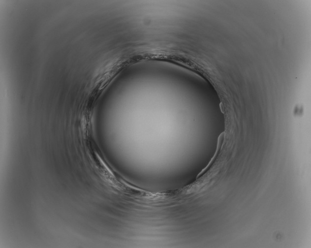 X0000090770720200708172108