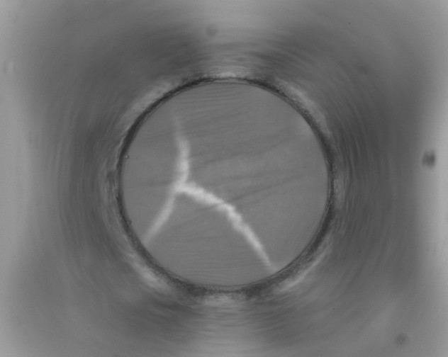 X0000090770721200708172107