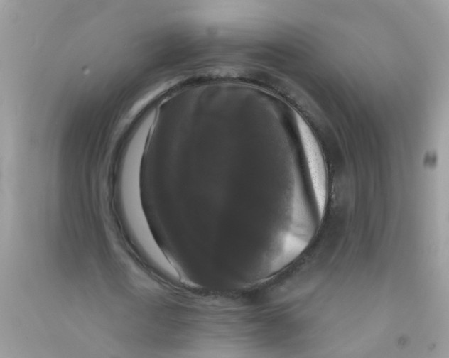 X0000090770722200708172107