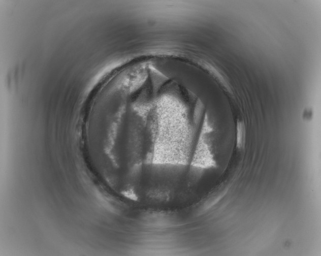 X0000090770723200708172107