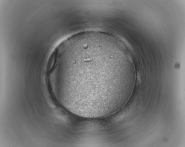X0000090770724200708172107