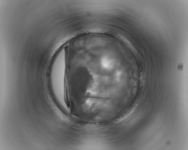 X0000090770725200708172107
