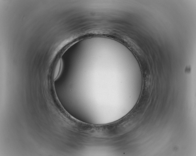 X0000090770727200708172107
