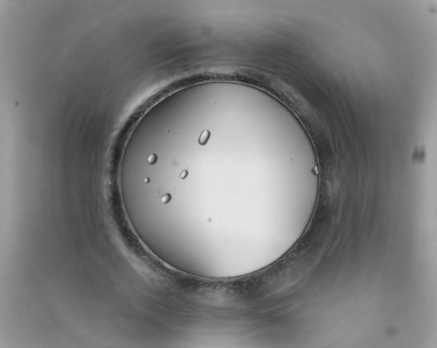 X0000090770728200708172107