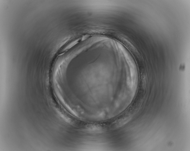X0000090770729200708172107