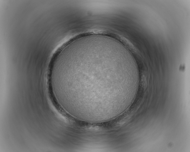 X0000090770730200708172107