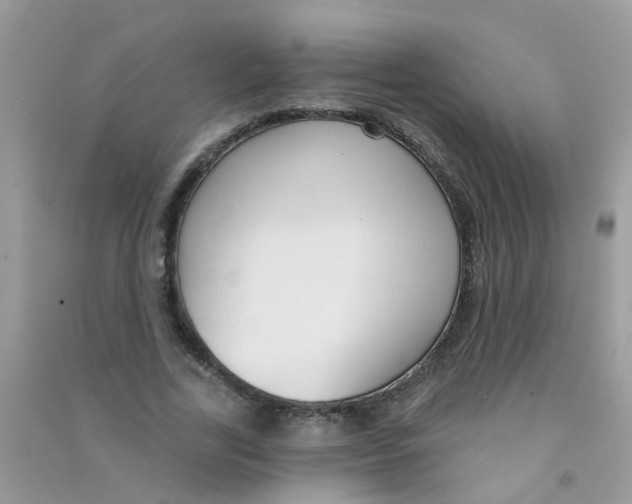 X0000090770731200708172107