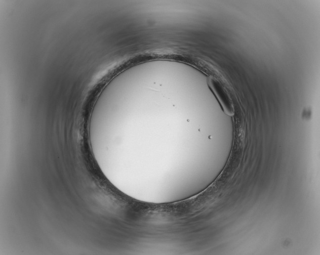 X0000090770732200708172107