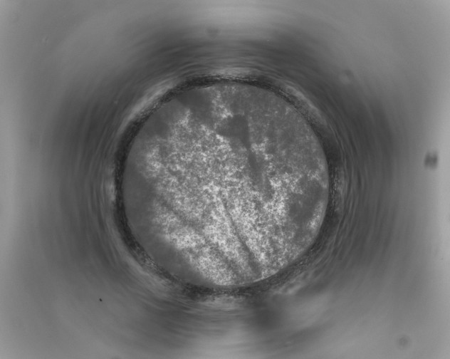 X0000090770734200708172107