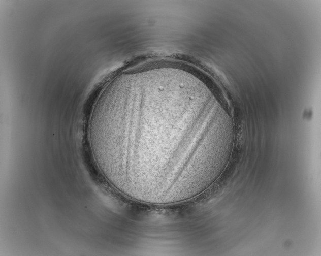 X0000090770736200708172107