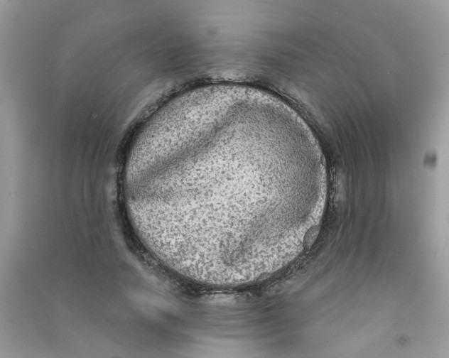 X0000090770738200708172107