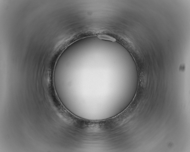 X0000090770740200708172107