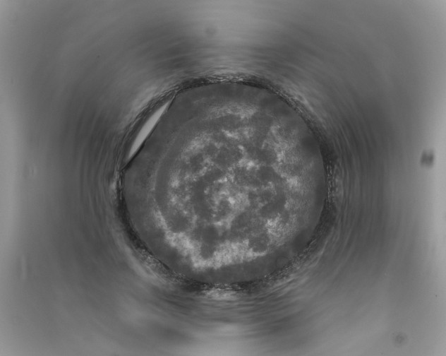 X0000090770742200708172107