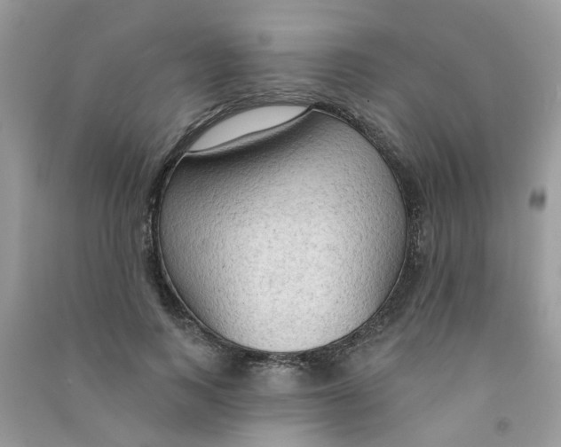 X0000090770743200708172107