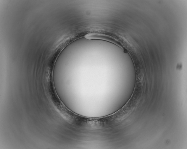 X0000090770744200708172107