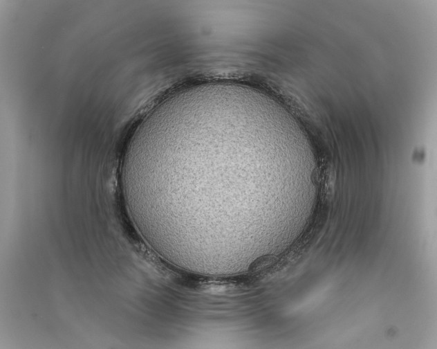 X0000090770746200708172107