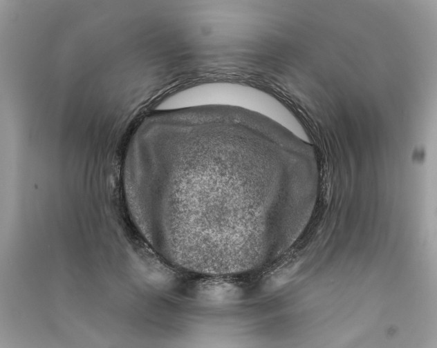 X0000090770747200708172107