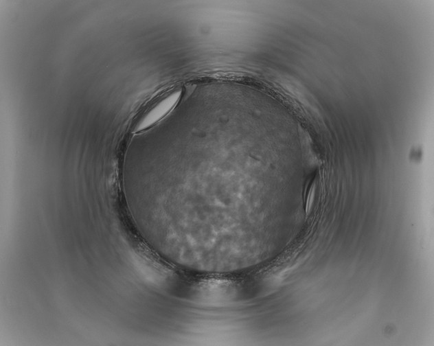 X0000090770748200708172107