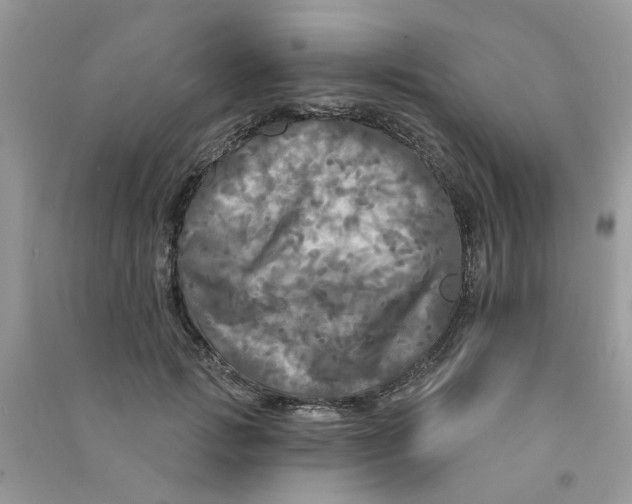 X0000090770749200708172107