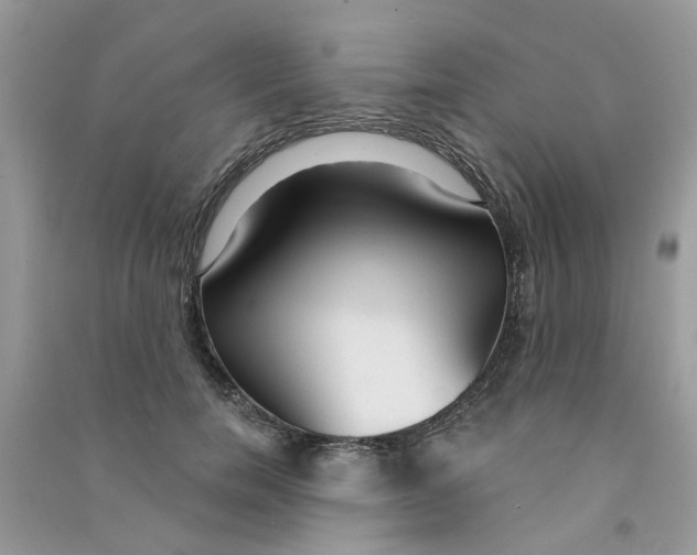 X0000090770750200708172107