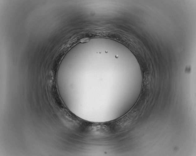 X0000090770752200708172107