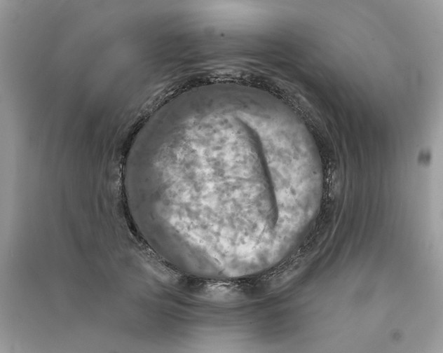 X0000090770753200708172107