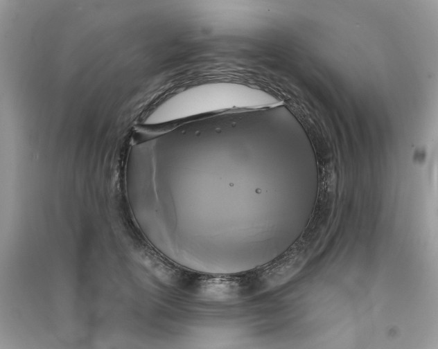 X0000090770754200708172107