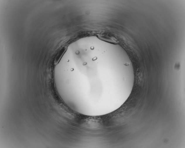 X0000090770756200708172108