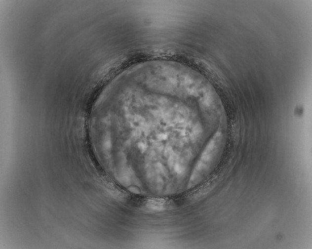 X0000090770757200708172108