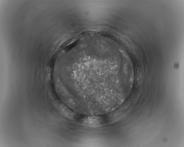 X0000090770758200708172108