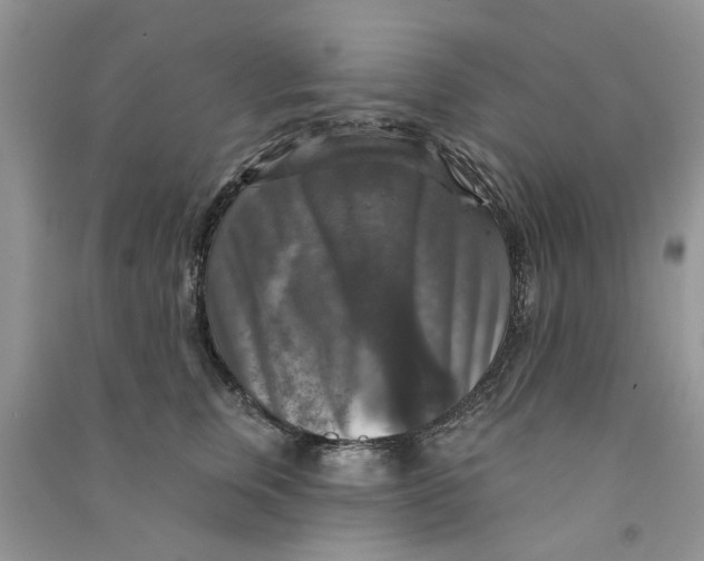 X0000090770759200708172108