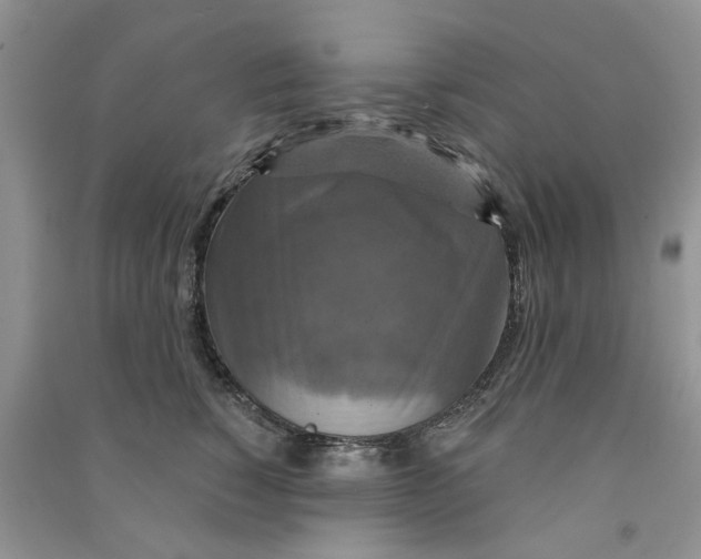 X0000090770760200708172108