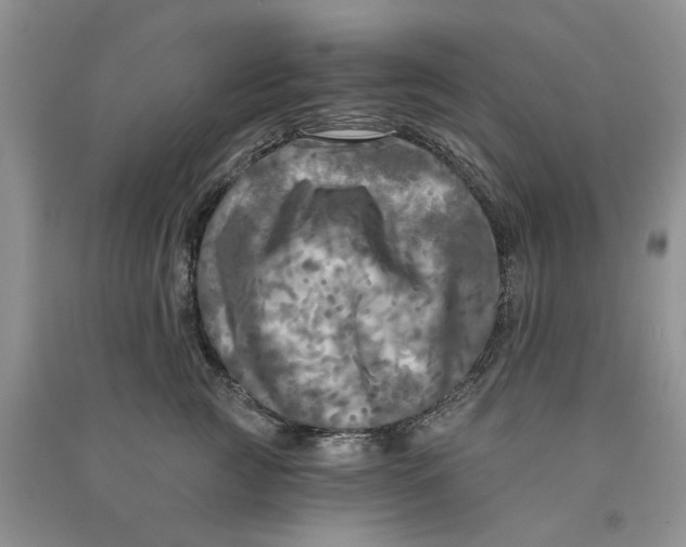 X0000090770761200708172108