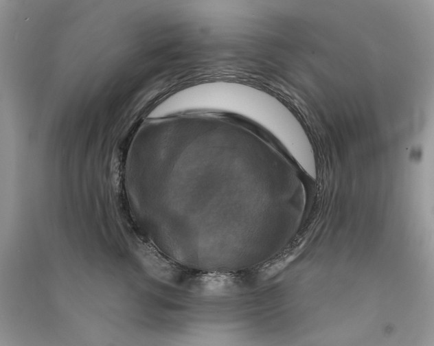 X0000090770762200708172108
