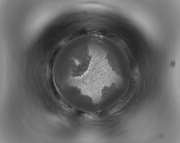 X0000090770763200708172108