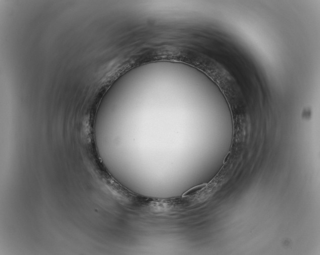 X0000090770764200708172108
