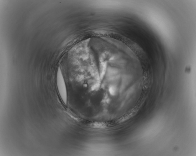 X0000090770765200708172108
