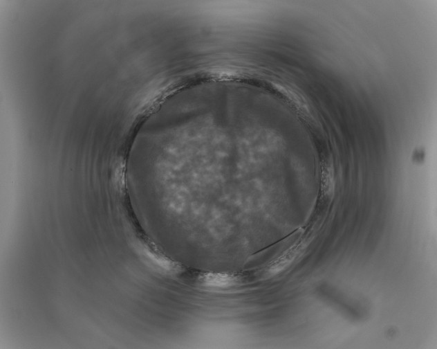 X0000090770766200708172108