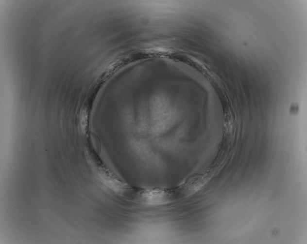 X0000090770767200708172108